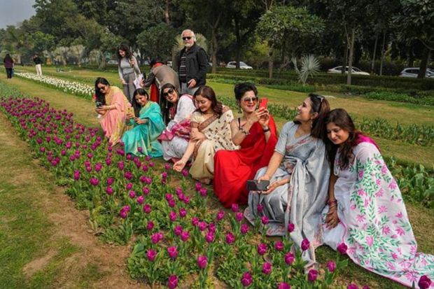 Organised by the New Delhi Municipal Corporation, this year's festival showcases a diverse selection of tulips in an array of hues, including red, yellow, white, pink, purple, and even black. (PTI Photo)
