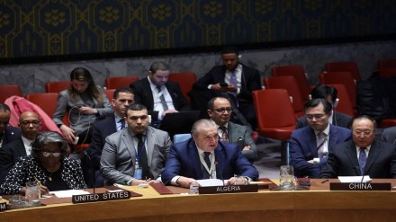 US veto on UN resolution for immediate ceasefire in Gaza