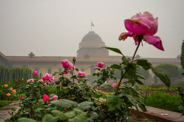 The plans for the Mughal Gardens were completed by Edwin Lutyens in 1917, and the actual planting took place during the years 1928-1929. (Image: PTI)