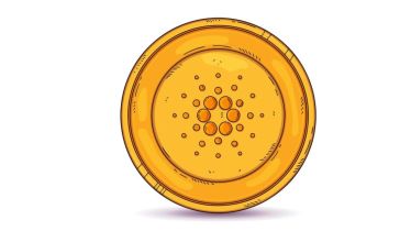 Experts believe that the prospects of Retik Finance are promising