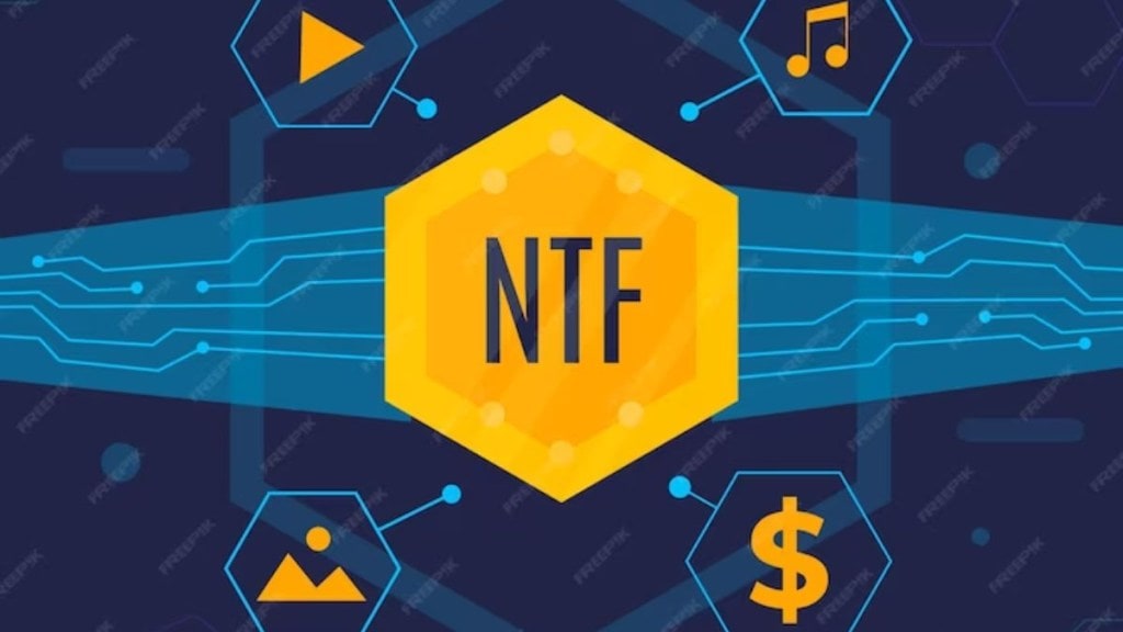 NFTs increase boundaries by adding verifiable ownership rights