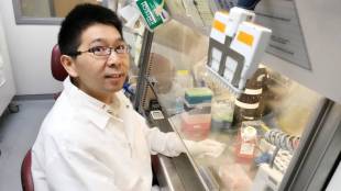 3d brain tissue, brain tissue, science news, science technology, 3d printing, science