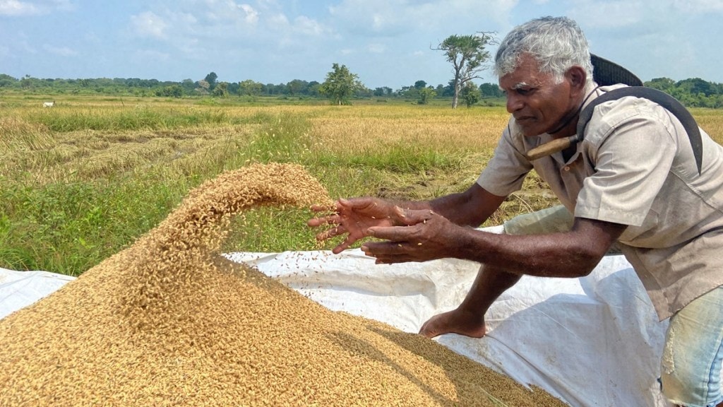 agriculture, Pankaj Chaudhary, Lok Sabha, SGST revenues, top news, latest news, economy news, agriculture, Pankaj Chaudhary, Lok Sabha, SGST revenues, top news, latest news, economy news,