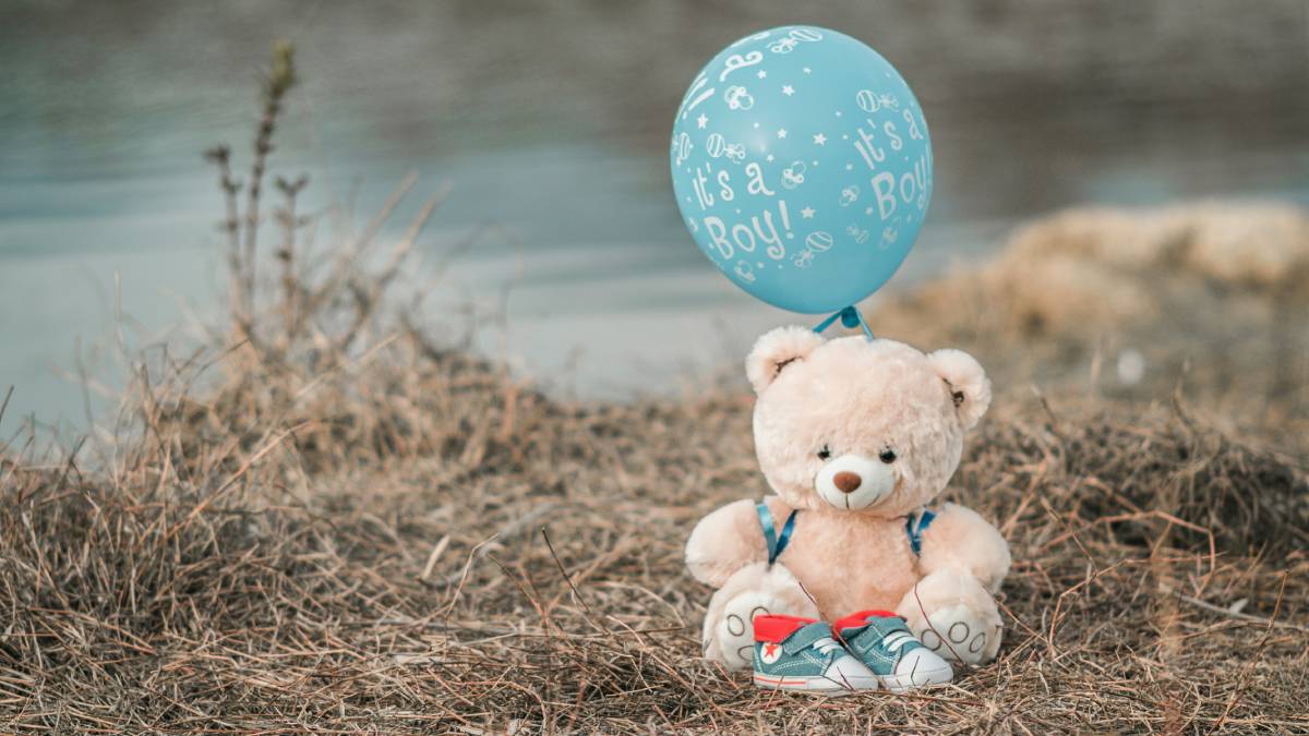 Teddy Day 2024 Histroy and Significance: teddy day, teddy day 2024 teddy day history, teddy day significance, valentine's day, teddy day gifts, when is teddy day, best teddy day gifts