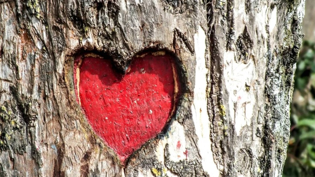 Valentine's Day 2024, Happy Valentine's Day 2024, Happy Valentine's Day 2024 History, Valentine's Day 2024 Significance, Valentine's Day 2024 Interesting Facts, Valentine's Day 2024 Celebrations, Valentine's Day 2024 in India