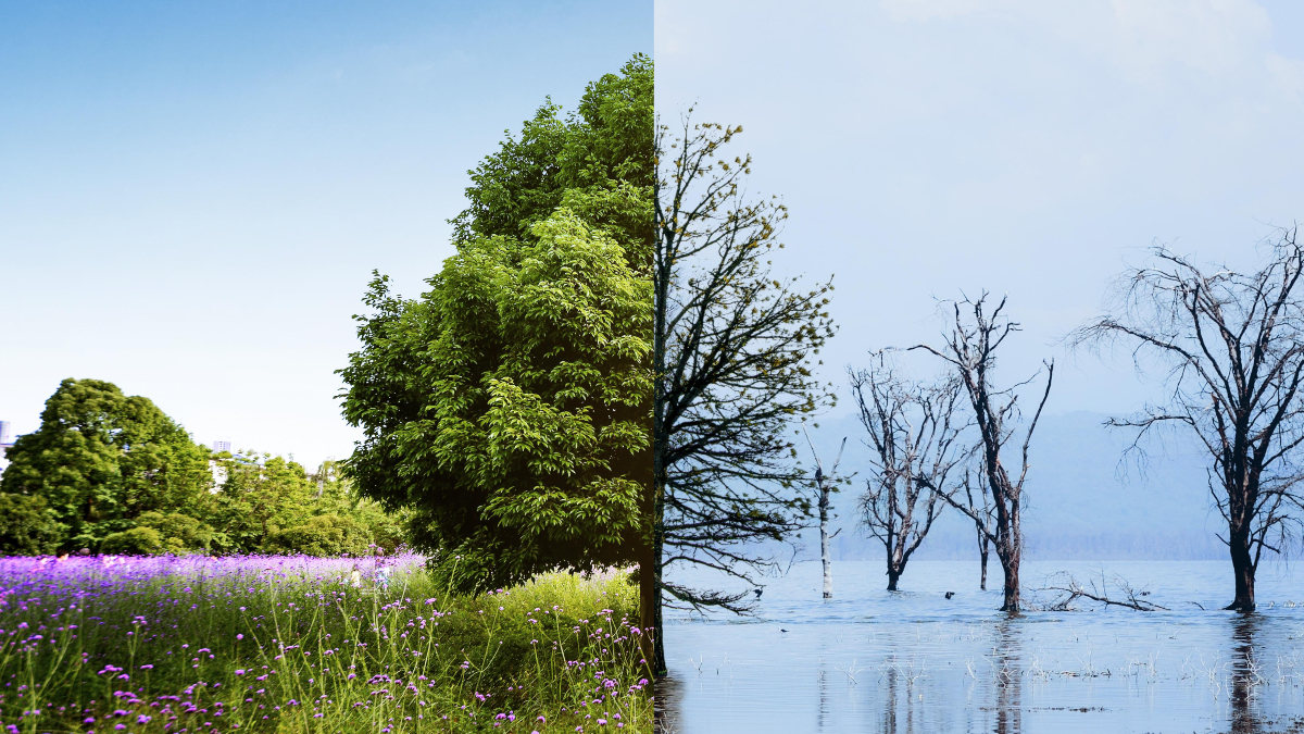 Climate Change Climate Change