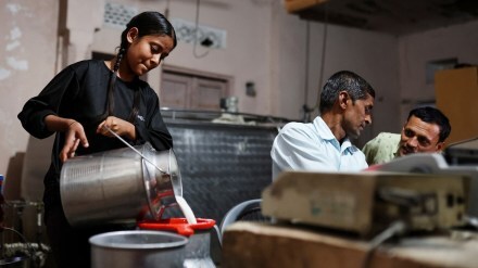 Dairy, fisheries, Rashtriya Gokul Mission, Pradhan Mantri Matsya Sampada Yojana, PMMSY, top news, latest news, Business news,