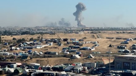 Israel Hamas, Hamas, Israel news, Israeli hostages, Hamas frees hostages, Palestine, Palestine war, Israel Egypt, Egypt, Egypt news