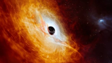 black hole, science, news, eso, brightest star, brightest celestial body in universe, universe, black hole, what is black hole, space news