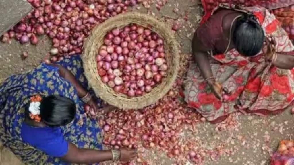 onion, onion export, onion news, onion price, financial express, economy