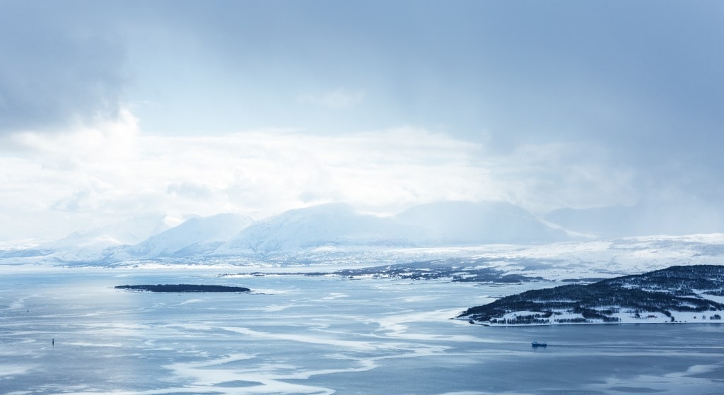 arctic