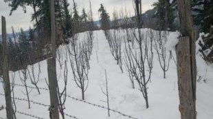 Snowfall in India, Rainfall, Weather update, Himalayan region, Rainfall forecast, Delhi winters, Delhi rainfall update, Delhi-NCR temperature, Delhi Temperature forecast, India weather forecast, IMD updates, Weather updates India, rainfall, snowfall, jammu and kashmir, kashmir snowfall