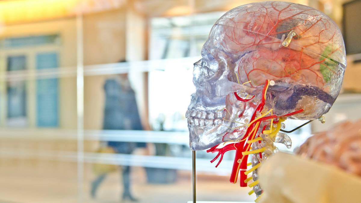 nithin kamath, nithin kamath brain stroke, brain stroke, stroke in brain, brain stroke preventive measure, zerodha ceo, zerodha ceo stroke