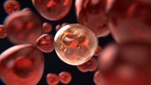 Novartis to acquire MorphoSys AG to strengthen oncology pipeline