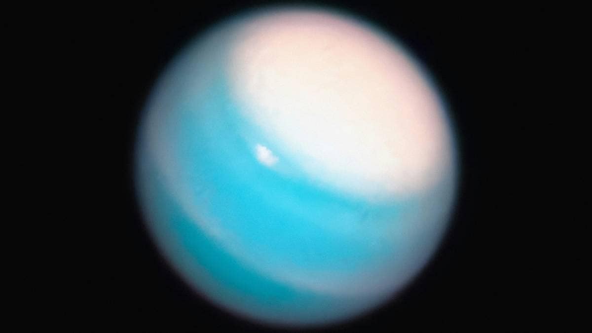 uranus, neptune, new moon, three moons, science news, new moon discovered, neptune and uranus moons, neptune and uranus new moons