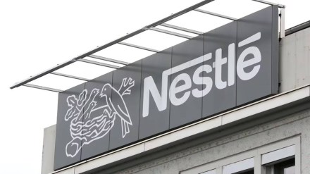 nestle india