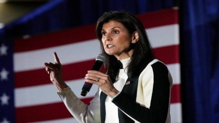 nikki haley, US presidential polls