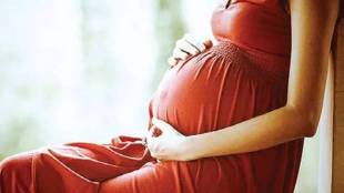 pregnancy