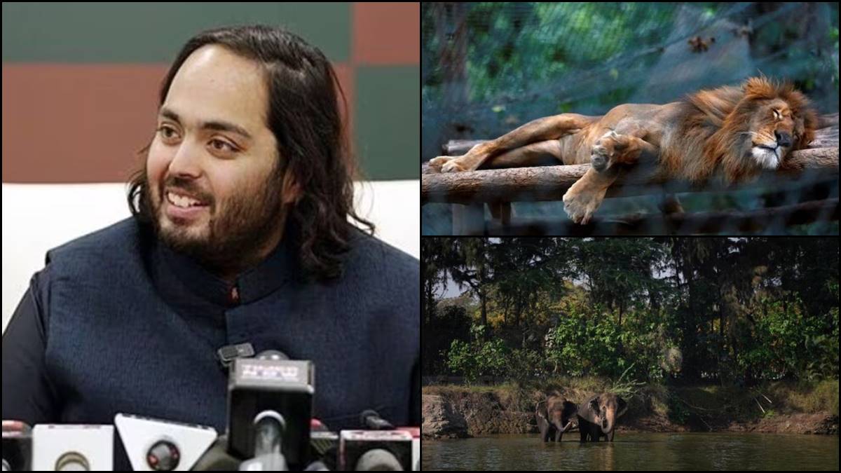 Vantara, Vantara images, Mukesh Ambani, Nita Ambani, Anant Ambani, Anant Ambani Vantara, Vantara animals, animals at Vantara, Vantara details, Vantara cost
