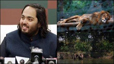 Vantara, Vantara images, Mukesh Ambani, Nita Ambani, Anant Ambani, Anant Ambani Vantara, Vantara animals, animals at Vantara, Vantara details, Vantara cost