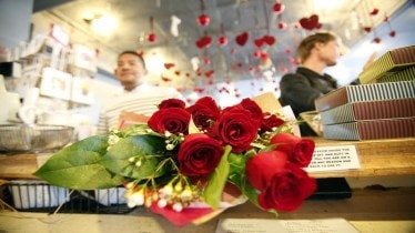 Happy Rose Day Prices in India: rose price, rose day, roses on ferns and petals, rose price on blinkit,