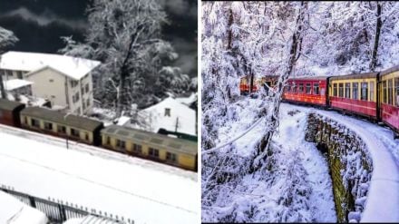 shimla shimla