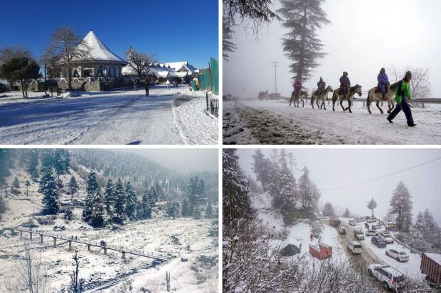 The much-awaited snowfall has brought joy to the residents of Kashmir and transformed the Valley into a picturesque winter wonderland. After experiencing one of the driest winter spells on record, the region finally witnessed the season's first snowfall, painting its plains with a blanket of white. From the enchanting landscapes of From Kashmir, the heaven on earth, to Shimla, the queen of hills, is captivatingly smothered by a deep layer of snow. These destinations now has an irresistible charm, captivating visitors with its mesmerising winter scenery. Take a glimpse at the captivating pictures capturing this breathtaking transformation – 
