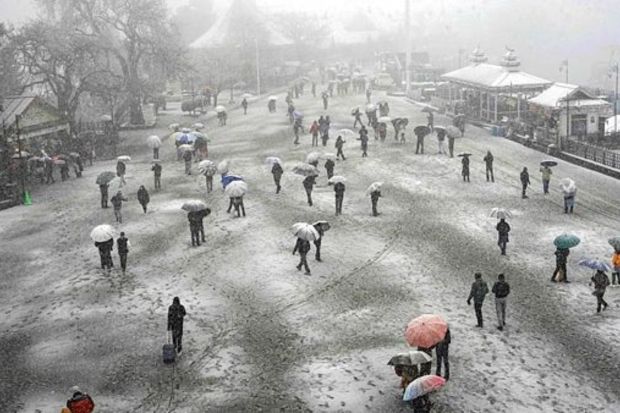 Tourists under umbrellas at Ridge amid snowfall in Shimla. (PTI Photo) 