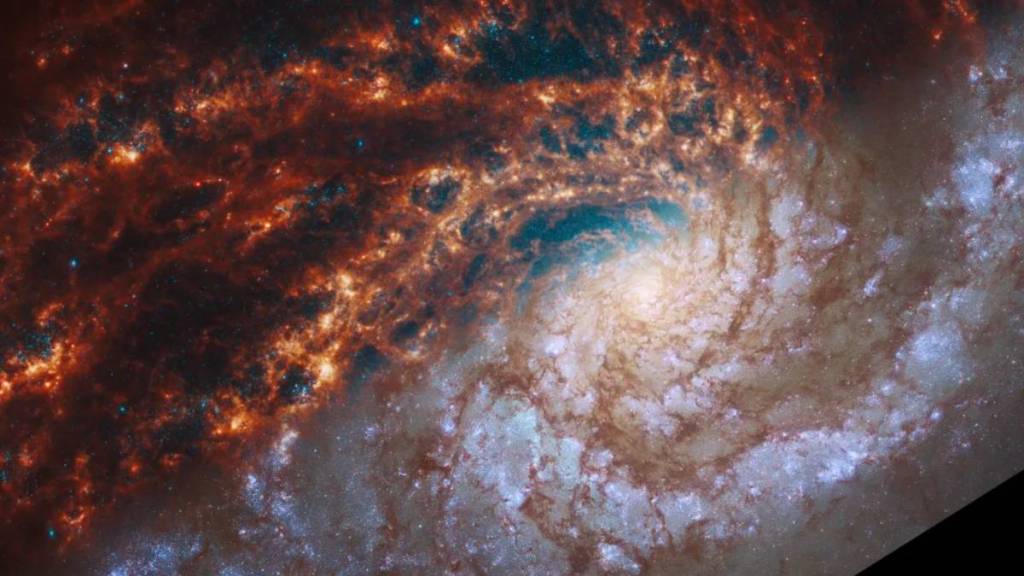 james webb telescope, nasa, nasa news, nasa james webb telescope, 19 spiral galaxies, spiral galaxy, phangs james webb, spiral galaxy images by james webb telescope