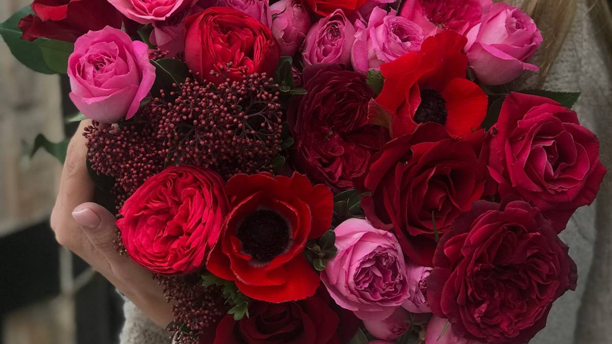 Rose Day 2024, Rose Color Meanings, Rose Day 2024 Date, Types of Roses, Different Tyes of Rose Colors, Rose Colors and meanings, Valentine's Day 2024, Red Rose Meaning, Yellow Rose Meaning, Pink Rose Meaning, White Rose Meaning
