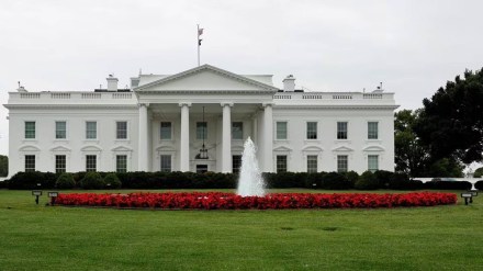 white house