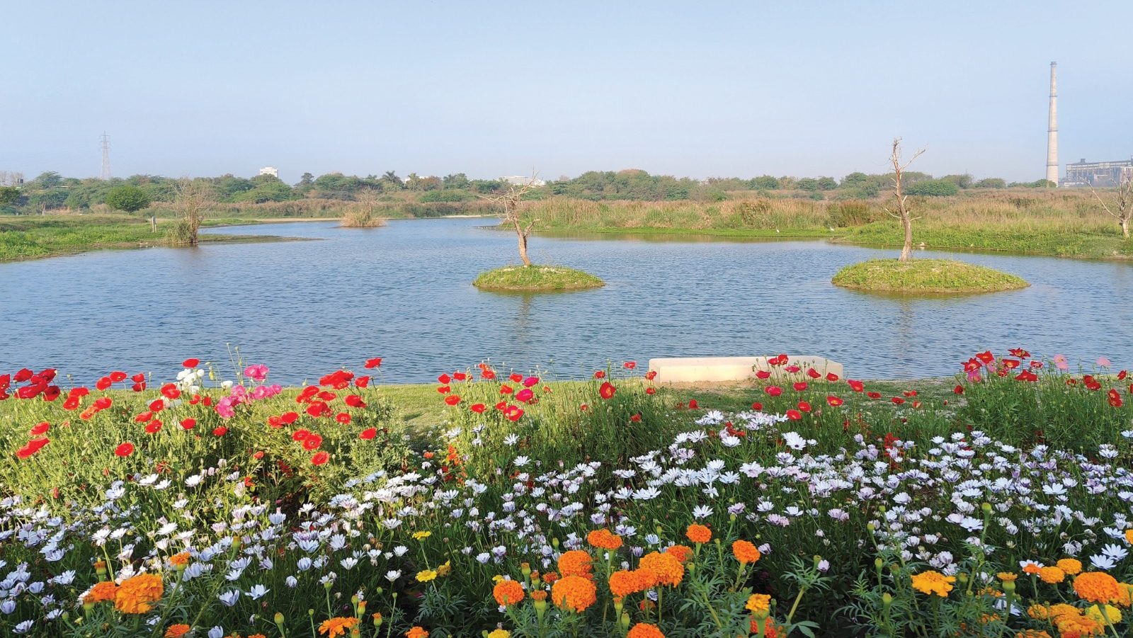 Asita is one-of-its-kind green asset for the national capital near ITO (Image/@LtGovDelhi)