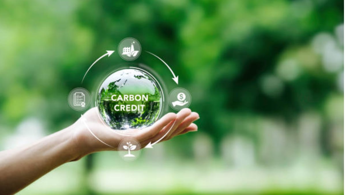 Carbon Credit