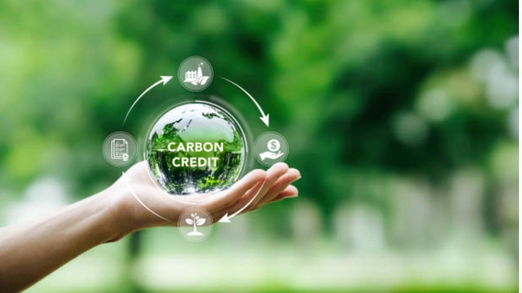 Carbon Credit