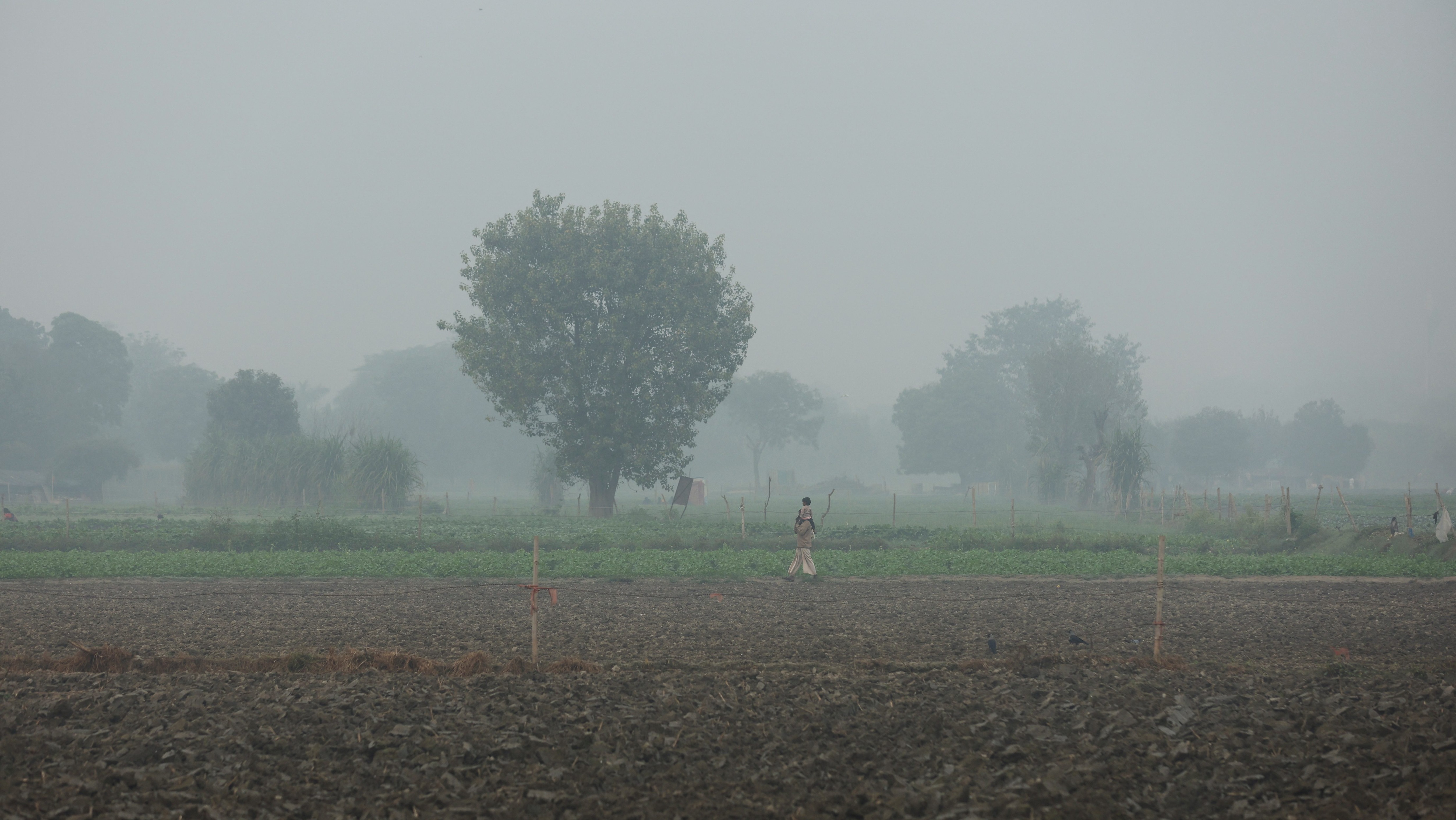 The weather department has forecast no rainfall for the next six days (Image/Reuters)