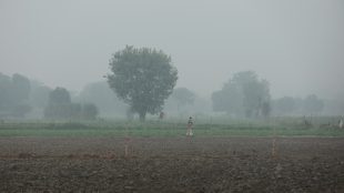 The weather department has forecast no rainfall for the next six days (Image/Reuters)