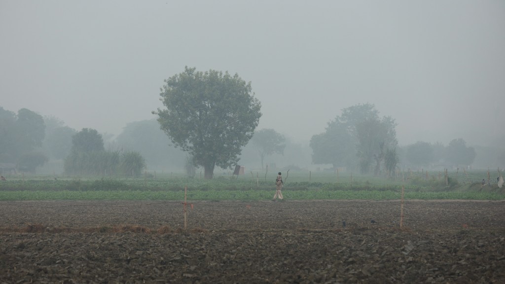 The weather department has forecast no rainfall for the next six days (Image/Reuters) The weather department has forecast no rainfall for the next six days (Image/Reuters)