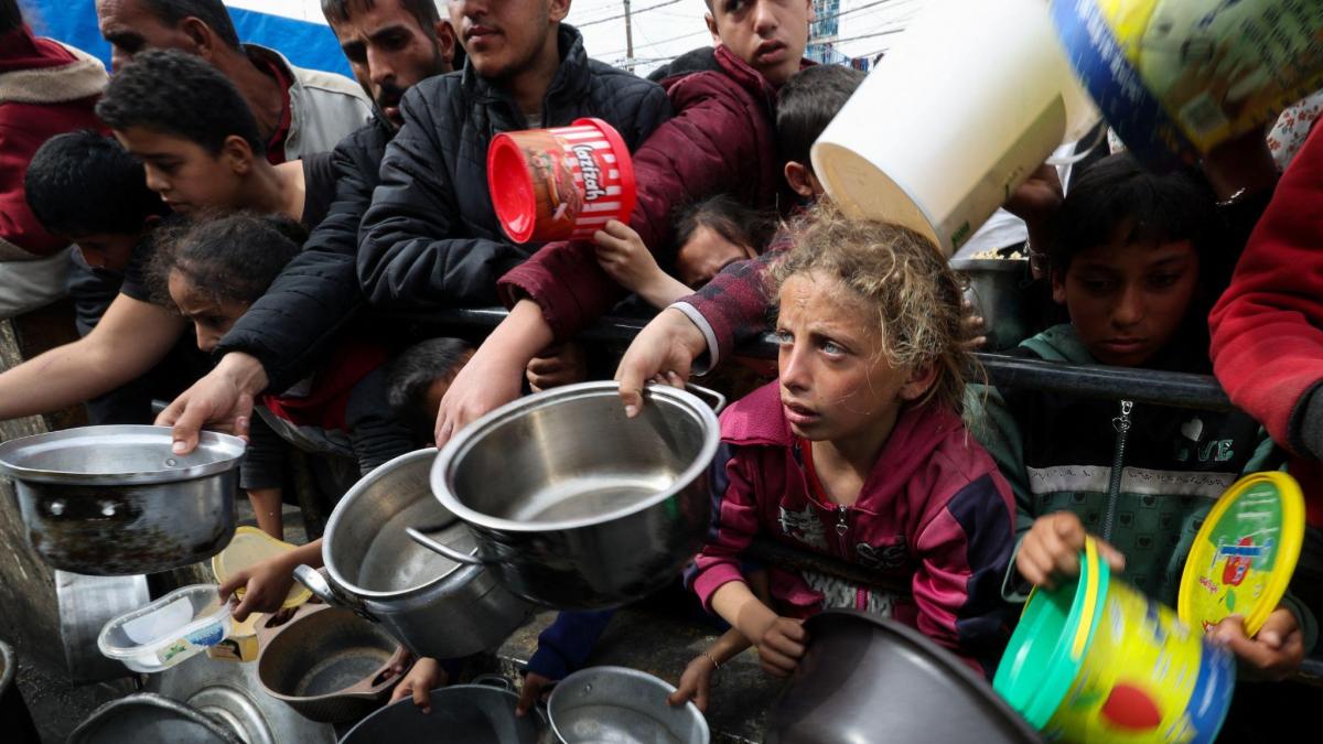 gaza, palestine, israel, icj, international court of justice, world court, world news