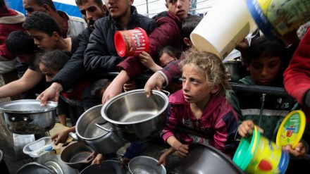 gaza, palestine, israel, icj, international court of justice, world court, world news