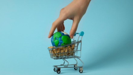 Capgemini, global investment trends, green jobs, financial express Capgemini, global investment trends, green jobs, financial express