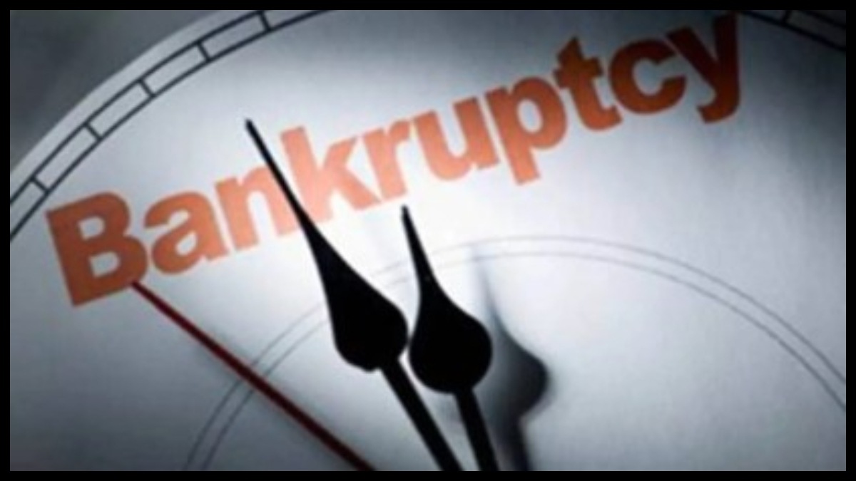 Financial creditors, Committee of Creditors, Birla Tyres , Bankruptcy Board of India