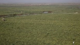 land reforms, opinion news, land reforms news, Digital Land Records Modernization Programme, Bhu-Aadhar or Unique Land Parcel Identification