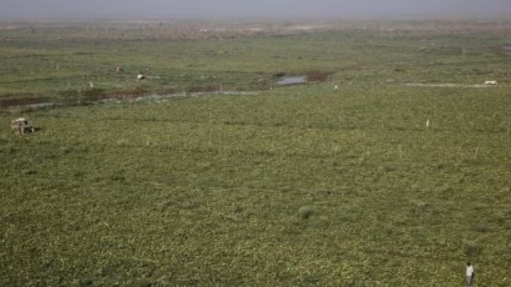 land reforms, opinion news, land reforms news, Digital Land Records Modernization Programme, Bhu-Aadhar or Unique Land Parcel Identification land reforms, opinion news, land reforms news, Digital Land Records Modernization Programme, Bhu-Aadhar or Unique Land Parcel Identification