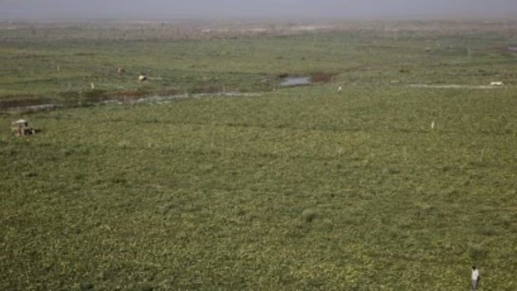 land reforms, opinion news, land reforms news, Digital Land Records Modernization Programme, Bhu-Aadhar or Unique Land Parcel Identification