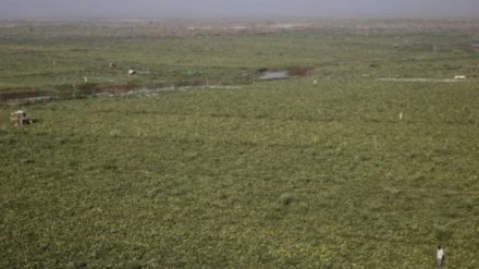 land reforms, opinion news, land reforms news, Digital Land Records Modernization Programme, Bhu-Aadhar or Unique Land Parcel Identification