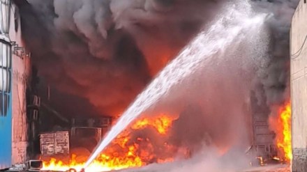 An official stated that the incident was recorded by CCTV cameras installed within the temple premises. (Image source: ANI) An official stated that the incident was recorded by CCTV cameras installed within the temple premises. (Image source: ANI)