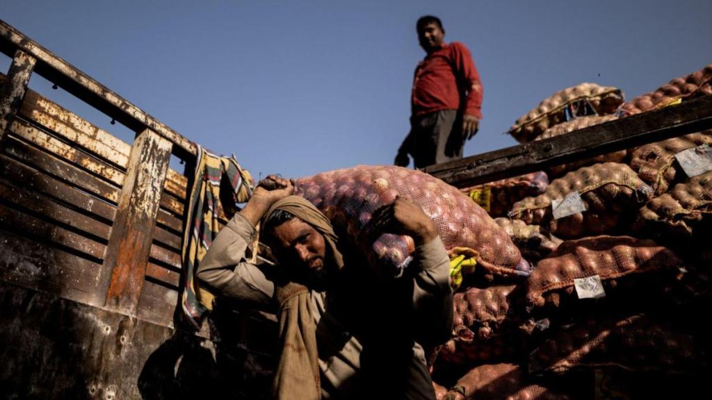 onion, onion export, modal retail prices, economy