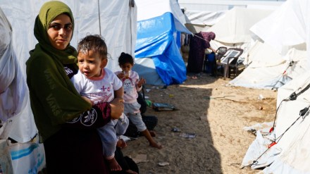 Defence news, India Palestine, Palestine news, Hamas news, defence Defence news, India Palestine, Palestine news, Hamas news, defence