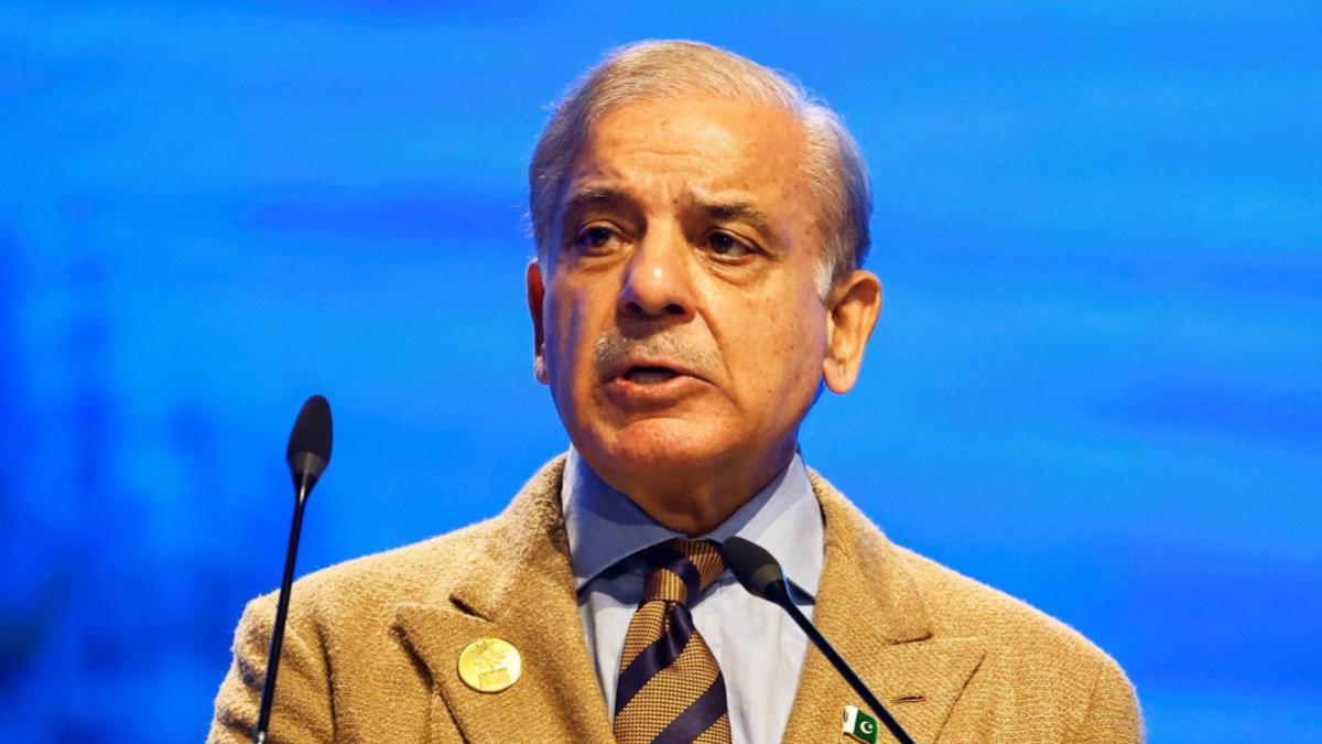 pakistan, pakistan pm shehbaz sharif, pakistan politics, world news