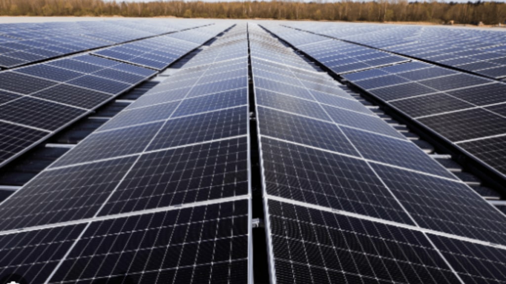 Gensol Engineering, FY24 performance, revenue